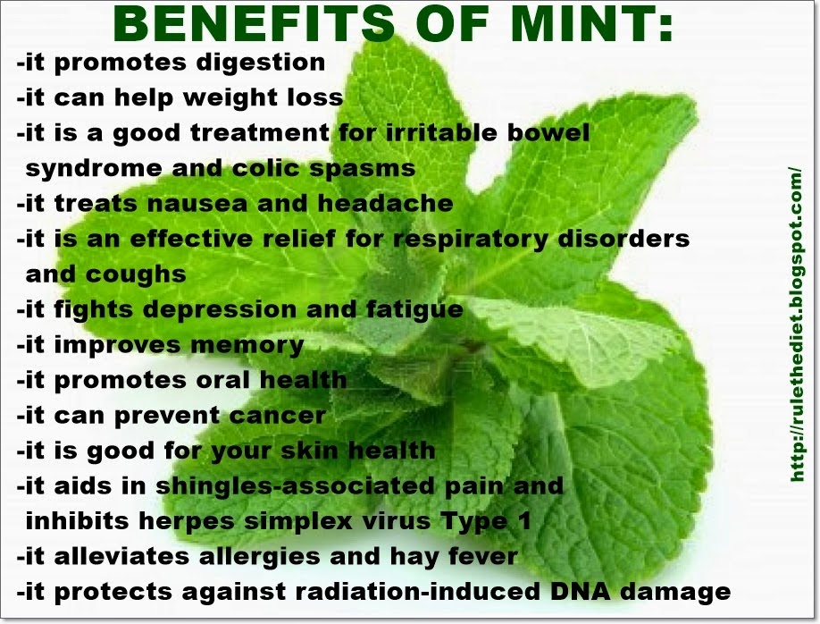Lemon cucumber and mint water benefits This Detox Lime Cucumber Mint Water is the perfect cool down drink on a hot day. The cucumber and mint act as an anti-inflammatory helping you reduce bloat and the lime gives you a burst of Vitamin C.. It’s a great drink to serve at a BBQ or even a bridal or baby shower for a chic water .